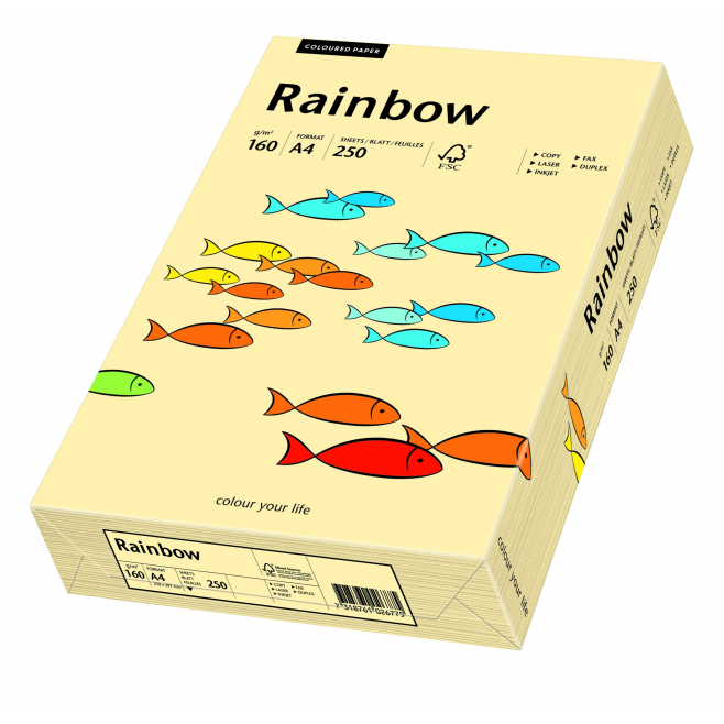 Papier kolorowy Rainbow A4 160g/250ark., nr 06 - kość słoniowa