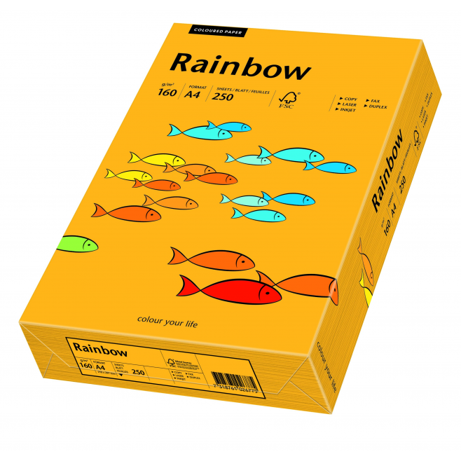 Papier kolorowy Rainbow A4 160g/250ark., nr 22 - pomarańczowy jasny