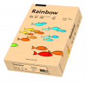 Papier kolorowy Rainbow A4 160g/250ark., nr 40 - łososiowy