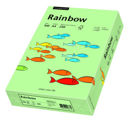 Papier kolorowy Rainbow A4 160g/250ark., nr 75 - przygaszona zieleń