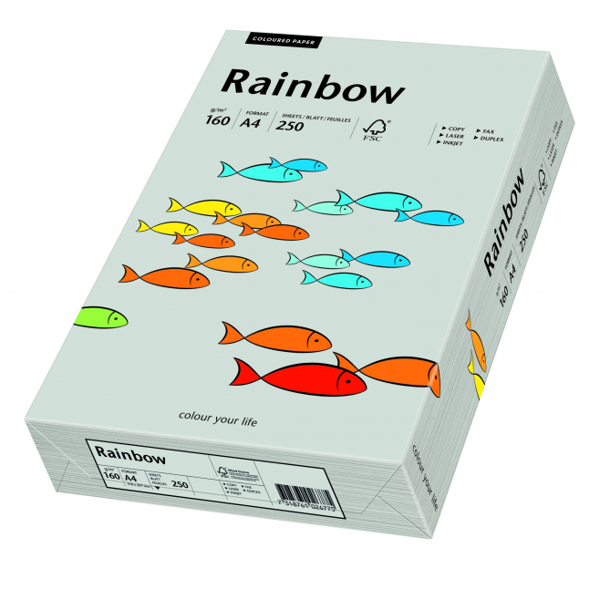 Papier kolorowy Rainbow A4 160g/250ark., nr 96 - szary