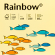 Papier kolorowy Rainbow A4 80g/500ark., nr 12 - żółty jasny