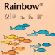 Papier kolorowy Rainbow A4 80g/500ark., nr 40 - łososiowy