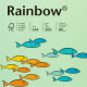 Papier kolorowy Rainbow A4 80g/500ark., nr 75 - przygaszona zieleń