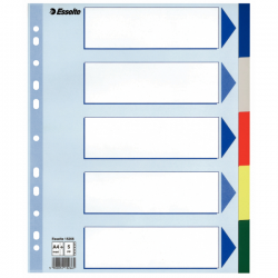 Przekładki plastikowe Esselte A4 Maxi - 5 kart
