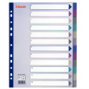 Przekładki plastikowe Esselte Multicolor A4 Maxi - 12 kart
