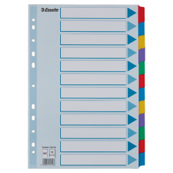Przekładki kartonowe Esselte Mylar A4 12 kart z laminowanymi indeksami