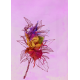 Pisaki artystyczne Faber-Castell Goldfaber Aqua Flowers - 6 kolorów